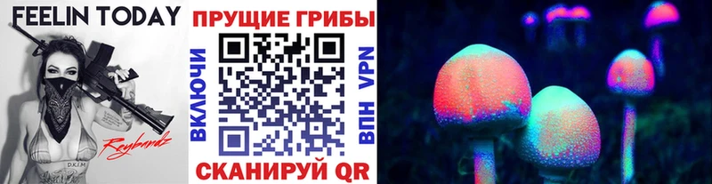 hydra ссылки  Сенгилей  Галлюциногенные грибы ЛСД  купить  цена 